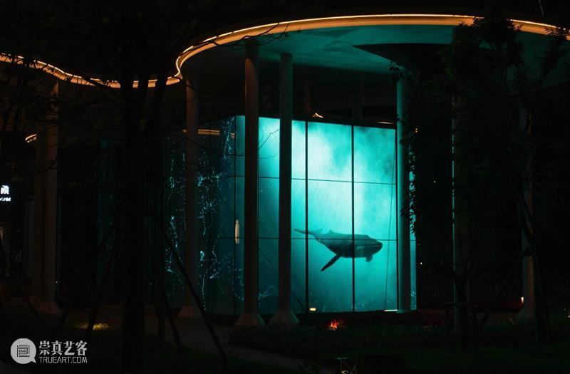 上海开启一场围绕人工智能和数字生态的公共艺术展  MANA新媒体艺术站 人工智能 数字 生态 上海 艺术展 图灵 项目 雷电 国内外 艺术家 崇真艺客