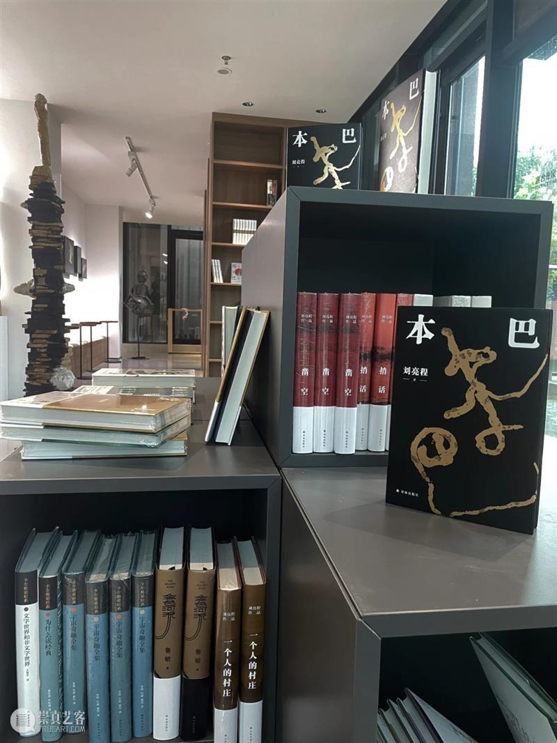 问象 · 译林书坊｜由译林出版社出版的《本巴》（刘亮程著）获第十一届茅盾文学奖 崇真艺客