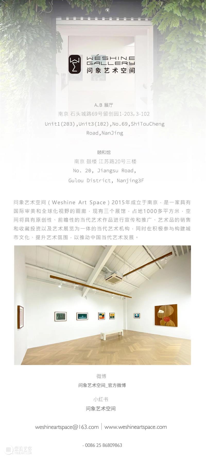 问象 · 译林书坊｜由译林出版社出版的《本巴》（刘亮程著）获第十一届茅盾文学奖 崇真艺客