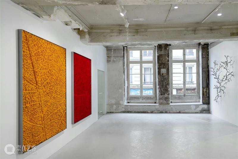 常青巴黎 | 正在呈现艺术家劳瑞斯·切克尼个展「我花园里的种子飞往其他国度」，诗意美学与严谨科学相辅相成，揭示自然灵魂的鲜活画卷 崇真艺客