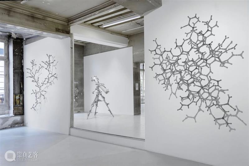 常青巴黎 | 正在呈现艺术家劳瑞斯·切克尼个展「我花园里的种子飞往其他国度」，诗意美学与严谨科学相辅相成，揭示自然灵魂的鲜活画卷 崇真艺客