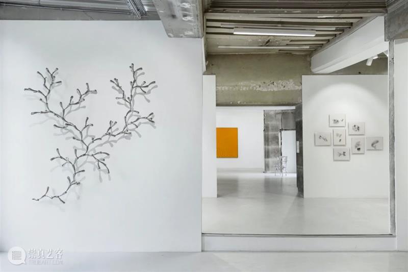 常青巴黎 | 正在呈现艺术家劳瑞斯·切克尼个展「我花园里的种子飞往其他国度」，诗意美学与严谨科学相辅相成，揭示自然灵魂的鲜活画卷 崇真艺客