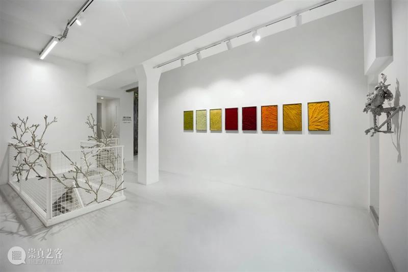 常青巴黎 | 正在呈现艺术家劳瑞斯·切克尼个展「我花园里的种子飞往其他国度」，诗意美学与严谨科学相辅相成，揭示自然灵魂的鲜活画卷 崇真艺客