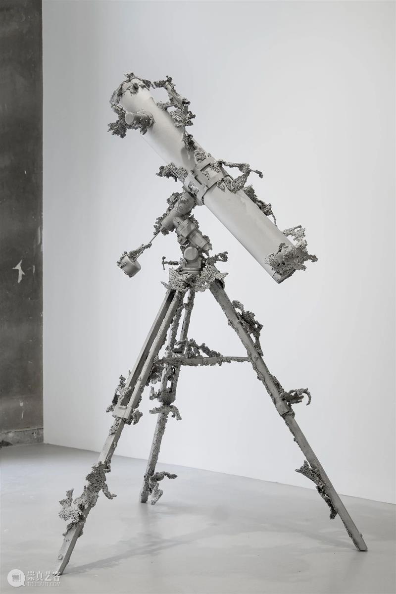 常青巴黎 | 正在呈现艺术家劳瑞斯·切克尼个展「我花园里的种子飞往其他国度」，诗意美学与严谨科学相辅相成，揭示自然灵魂的鲜活画卷 崇真艺客