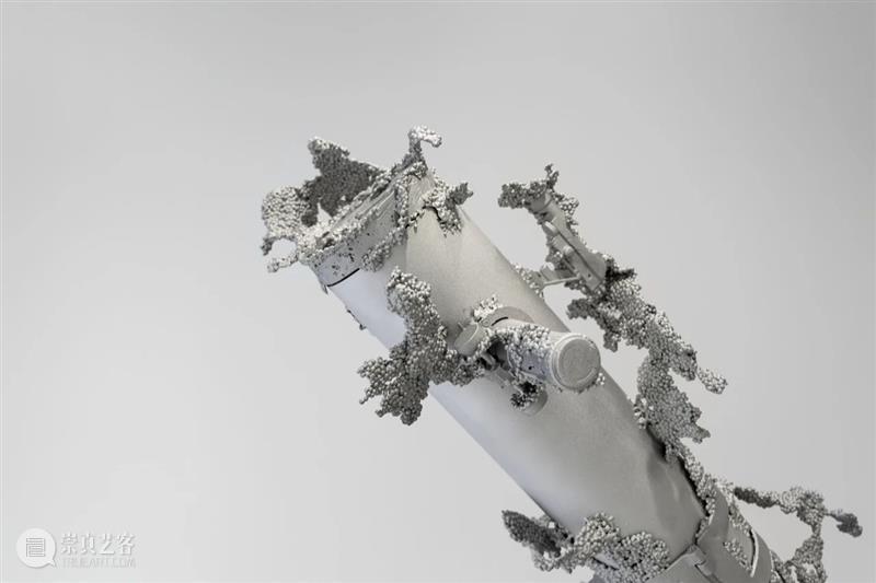 常青巴黎 | 正在呈现艺术家劳瑞斯·切克尼个展「我花园里的种子飞往其他国度」，诗意美学与严谨科学相辅相成，揭示自然灵魂的鲜活画卷 崇真艺客
