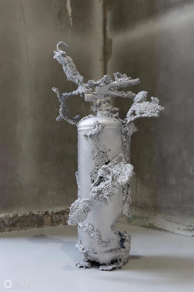 常青巴黎 | 正在呈现艺术家劳瑞斯·切克尼个展「我花园里的种子飞往其他国度」，诗意美学与严谨科学相辅相成，揭示自然灵魂的鲜活画卷 崇真艺客