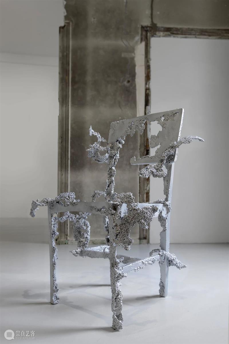 常青巴黎 | 正在呈现艺术家劳瑞斯·切克尼个展「我花园里的种子飞往其他国度」，诗意美学与严谨科学相辅相成，揭示自然灵魂的鲜活画卷 崇真艺客