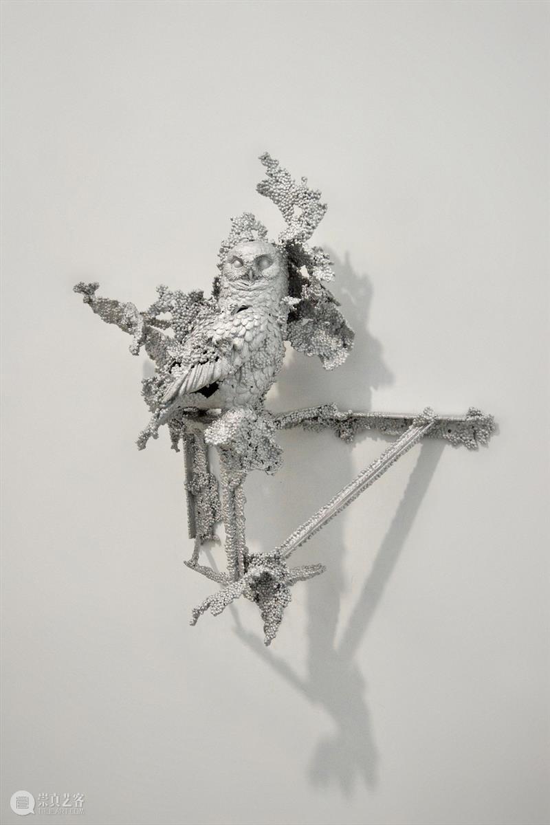 常青巴黎 | 正在呈现艺术家劳瑞斯·切克尼个展「我花园里的种子飞往其他国度」，诗意美学与严谨科学相辅相成，揭示自然灵魂的鲜活画卷 崇真艺客