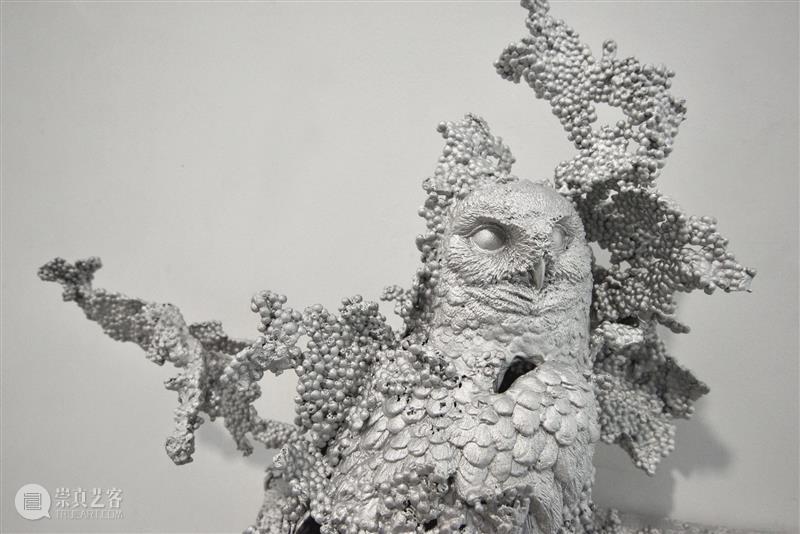 常青巴黎 | 正在呈现艺术家劳瑞斯·切克尼个展「我花园里的种子飞往其他国度」，诗意美学与严谨科学相辅相成，揭示自然灵魂的鲜活画卷 崇真艺客