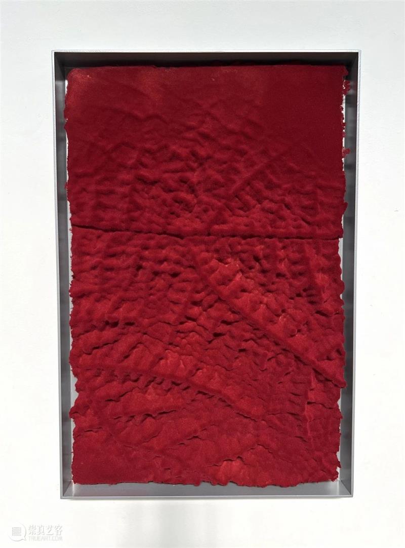常青巴黎 | 正在呈现艺术家劳瑞斯·切克尼个展「我花园里的种子飞往其他国度」，诗意美学与严谨科学相辅相成，揭示自然灵魂的鲜活画卷 崇真艺客