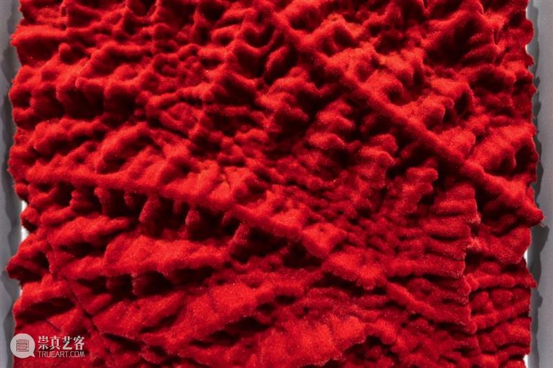 常青巴黎 | 正在呈现艺术家劳瑞斯·切克尼个展「我花园里的种子飞往其他国度」，诗意美学与严谨科学相辅相成，揭示自然灵魂的鲜活画卷 崇真艺客