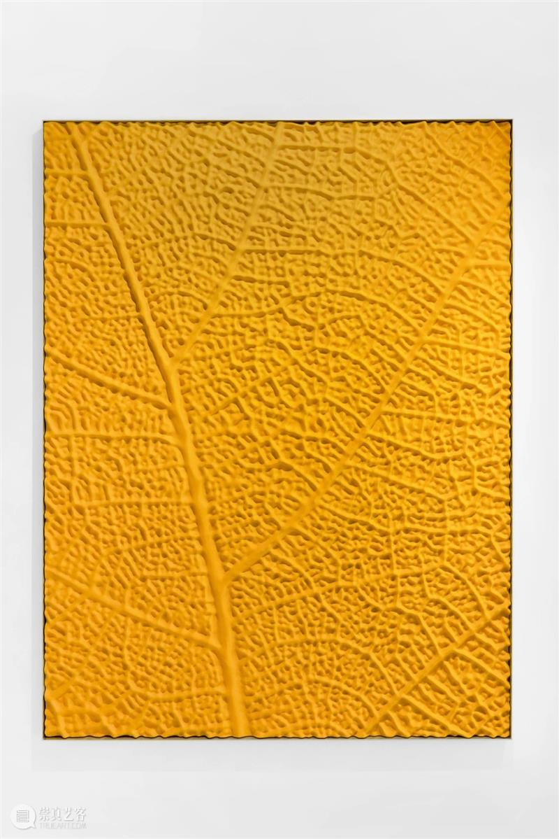 常青巴黎 | 正在呈现艺术家劳瑞斯·切克尼个展「我花园里的种子飞往其他国度」，诗意美学与严谨科学相辅相成，揭示自然灵魂的鲜活画卷 崇真艺客
