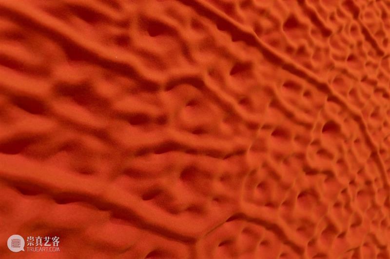 常青巴黎 | 正在呈现艺术家劳瑞斯·切克尼个展「我花园里的种子飞往其他国度」，诗意美学与严谨科学相辅相成，揭示自然灵魂的鲜活画卷 崇真艺客