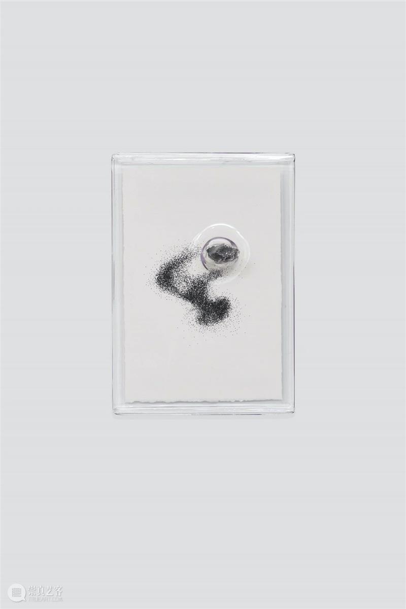 常青巴黎 | 正在呈现艺术家劳瑞斯·切克尼个展「我花园里的种子飞往其他国度」，诗意美学与严谨科学相辅相成，揭示自然灵魂的鲜活画卷 崇真艺客