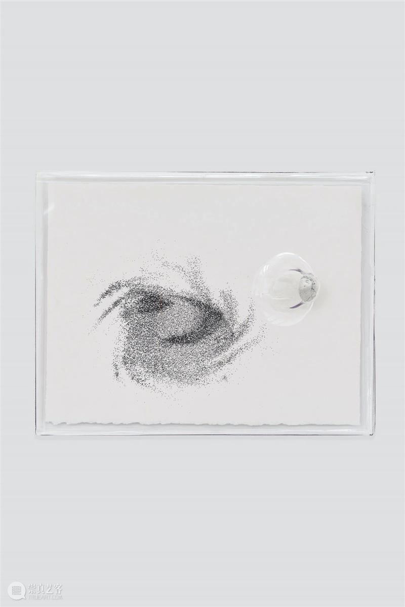 常青巴黎 | 正在呈现艺术家劳瑞斯·切克尼个展「我花园里的种子飞往其他国度」，诗意美学与严谨科学相辅相成，揭示自然灵魂的鲜活画卷 崇真艺客