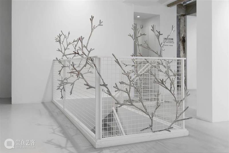 常青巴黎 | 正在呈现艺术家劳瑞斯·切克尼个展「我花园里的种子飞往其他国度」，诗意美学与严谨科学相辅相成，揭示自然灵魂的鲜活画卷 崇真艺客