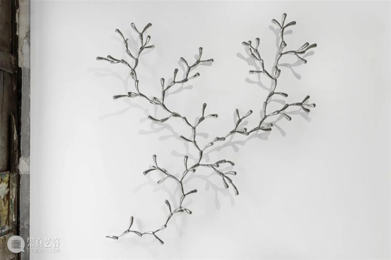 常青巴黎 | 正在呈现艺术家劳瑞斯·切克尼个展「我花园里的种子飞往其他国度」，诗意美学与严谨科学相辅相成，揭示自然灵魂的鲜活画卷 崇真艺客