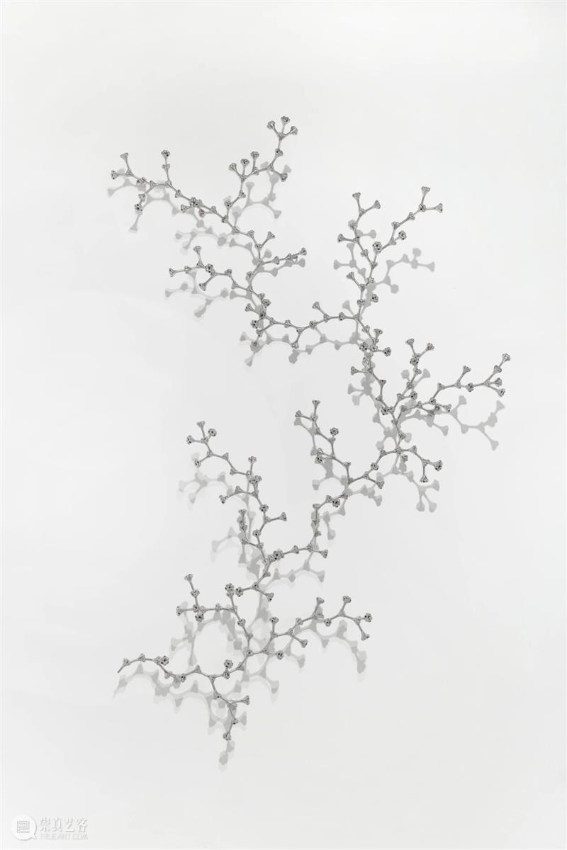常青巴黎 | 正在呈现艺术家劳瑞斯·切克尼个展「我花园里的种子飞往其他国度」，诗意美学与严谨科学相辅相成，揭示自然灵魂的鲜活画卷 崇真艺客