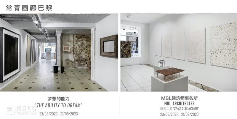 常青巴黎 | 正在呈现艺术家劳瑞斯·切克尼个展「我花园里的种子飞往其他国度」，诗意美学与严谨科学相辅相成，揭示自然灵魂的鲜活画卷 崇真艺客