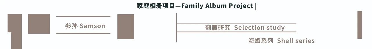 李维伊:险作 | 触摸图像的力量 崇真艺客
