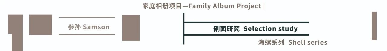 李维伊:险作 | 触摸图像的力量 崇真艺客