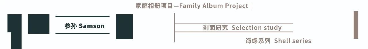 李维伊:险作 | 触摸图像的力量 崇真艺客