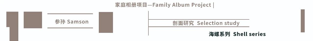 李维伊:险作 | 触摸图像的力量 崇真艺客