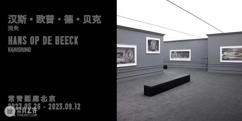 常青新闻 | 比利时驻华大使参观北京常青画廊「消失」展览 崇真艺客