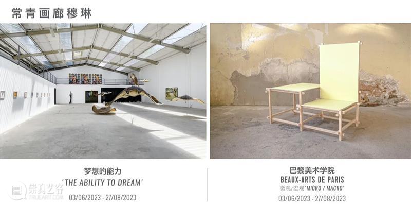 常青新闻 | 比利时驻华大使参观北京常青画廊「消失」展览 崇真艺客