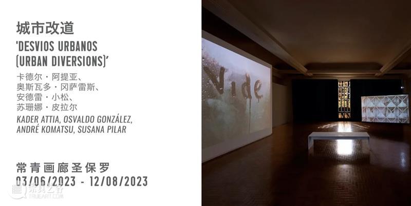 常青新闻 | 比利时驻华大使参观北京常青画廊「消失」展览 崇真艺客