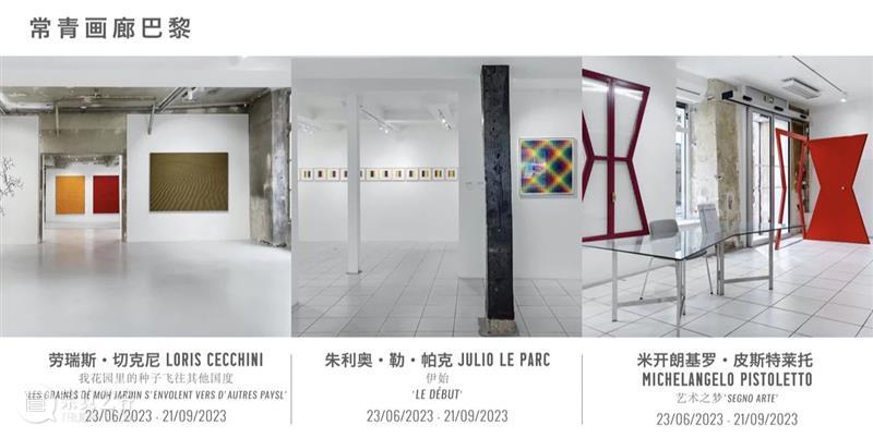 常青新闻 | 比利时驻华大使参观北京常青画廊「消失」展览 崇真艺客