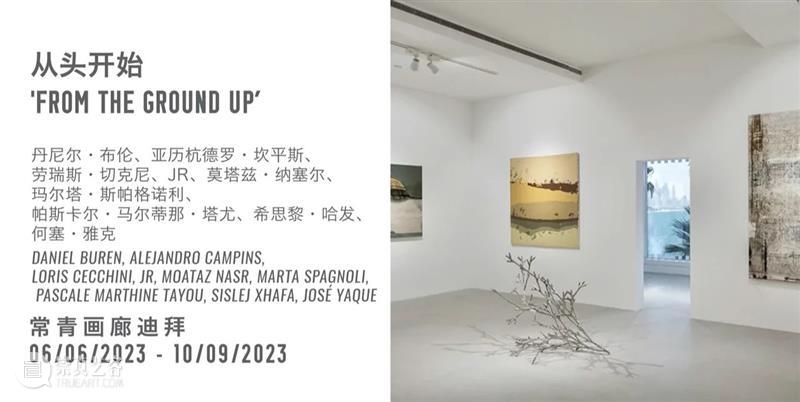 常青新闻 | 比利时驻华大使参观北京常青画廊「消失」展览 崇真艺客