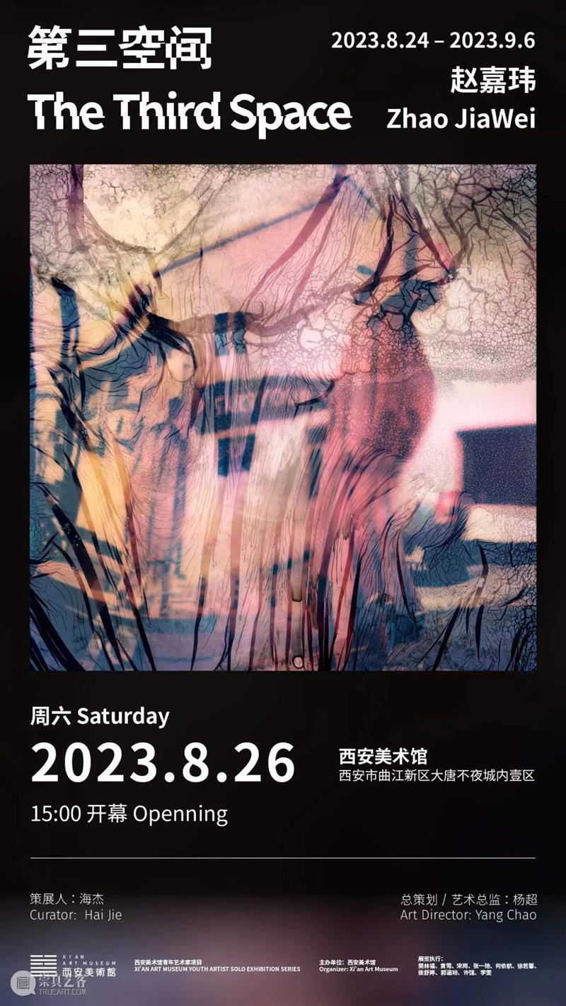 展览预告｜第三空间——赵嘉玮个展 崇真艺客