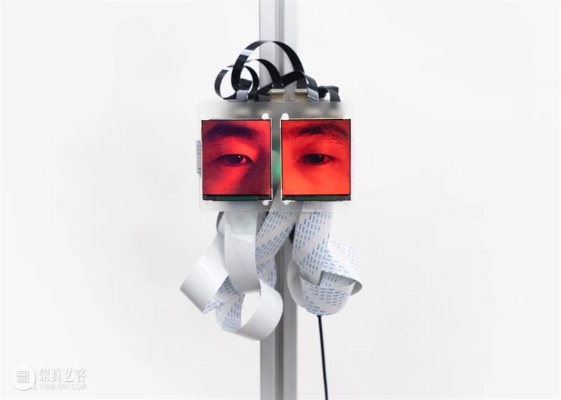 M50新展 | BLANKgallery 群展 : 浮潜 Flux Zone 崇真艺客