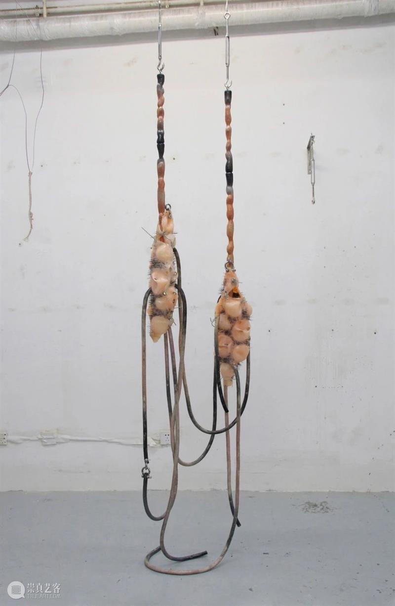 M50新展 | BLANKgallery 群展 : 浮潜 Flux Zone 崇真艺客