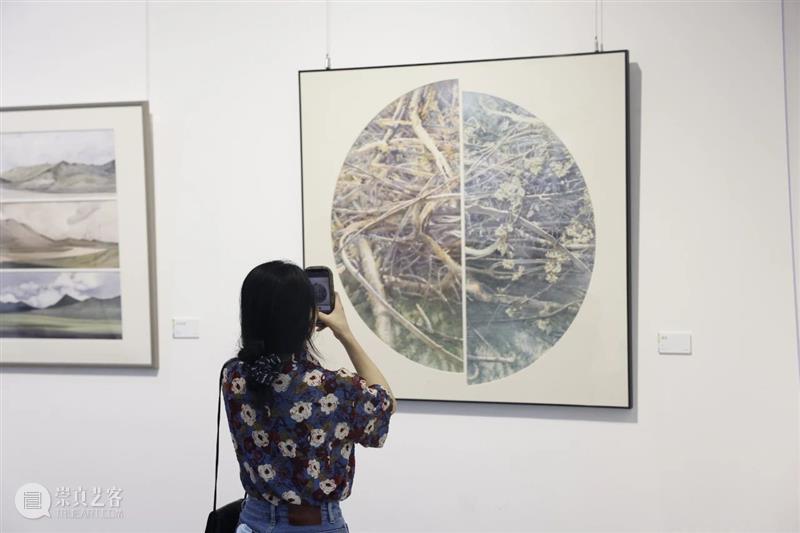 罗湖美术馆公教活动预告 | “第三届深圳国际水彩画双年展”作品导赏与解读 崇真艺客