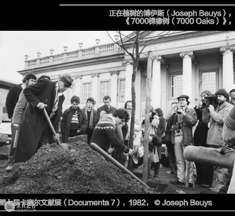阿那亚大地艺术节｜东门杨：艺术走进旷野 崇真艺客