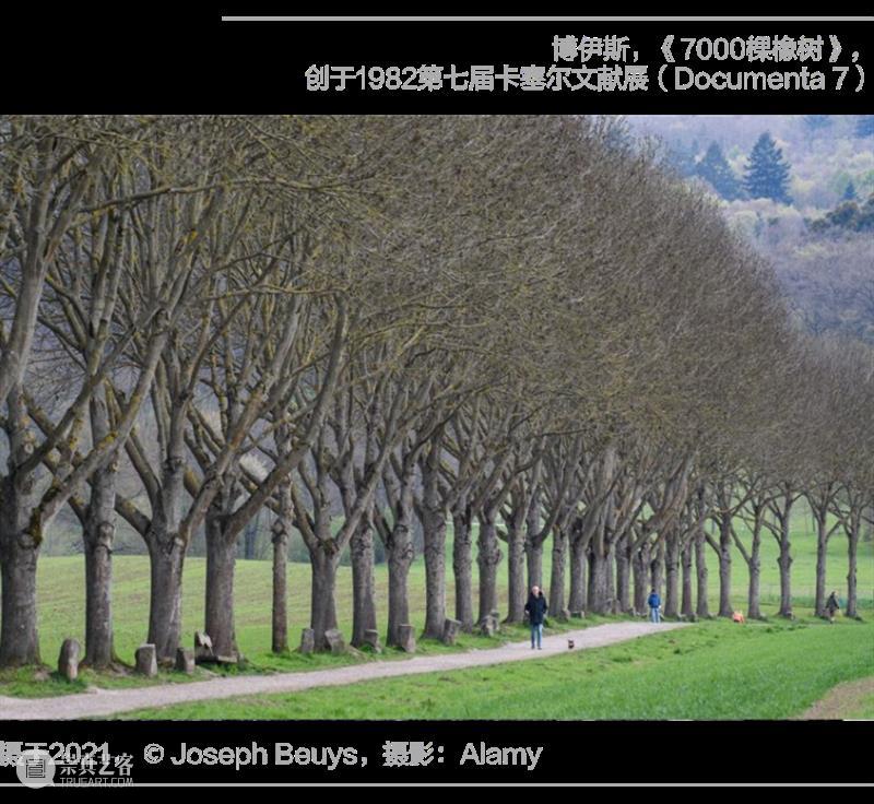 阿那亚大地艺术节｜东门杨：艺术走进旷野 崇真艺客