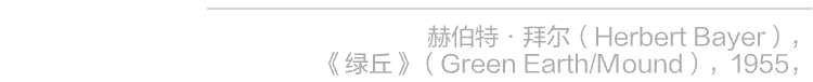 阿那亚大地艺术节|东门杨:艺术走进旷野 崇真艺客