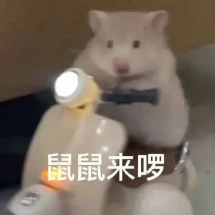 雷佳音、章宇《敦煌英雄》首曝预告；徐克监制中国海盗女王电影 崇真艺客