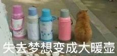 雷佳音、章宇《敦煌英雄》首曝预告;徐克监制中国海盗女王电影 崇真艺客