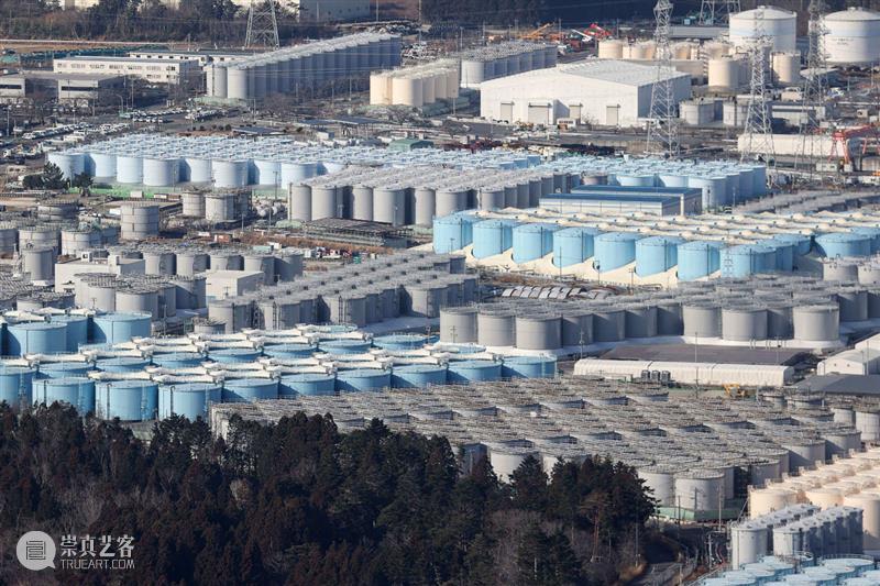 日本排放核废水,海洋生物的未来会如何? 崇真艺客