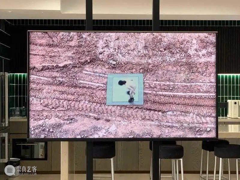 ASE活动 | ASE读书会第八期“从‘买办风’到‘现代派’：一座东亚都市认同中的近代性”回顾 崇真艺客