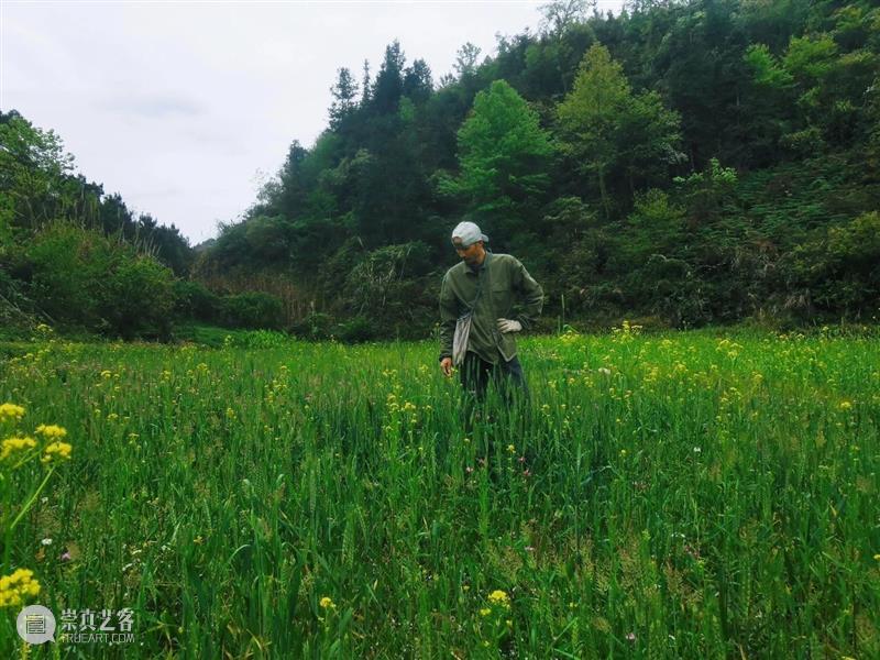 瓦依那乐队主唱岜農专访｜BCAF对话 崇真艺客