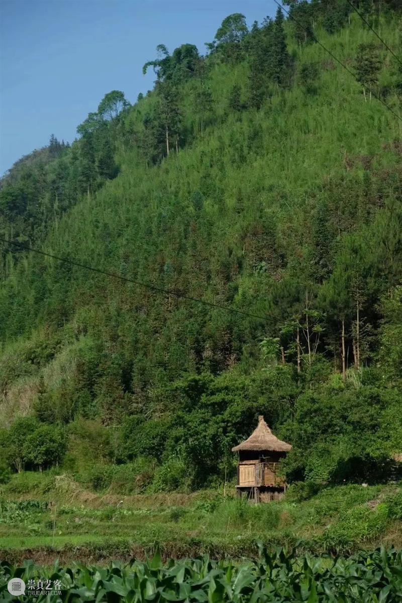 瓦依那乐队主唱岜農专访｜BCAF对话 崇真艺客