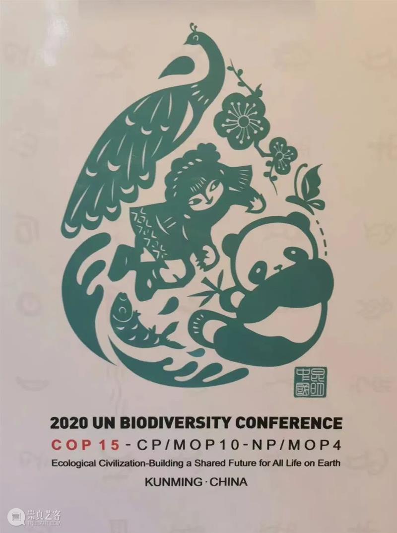 瓦依那乐队主唱岜農专访｜BCAF对话 崇真艺客