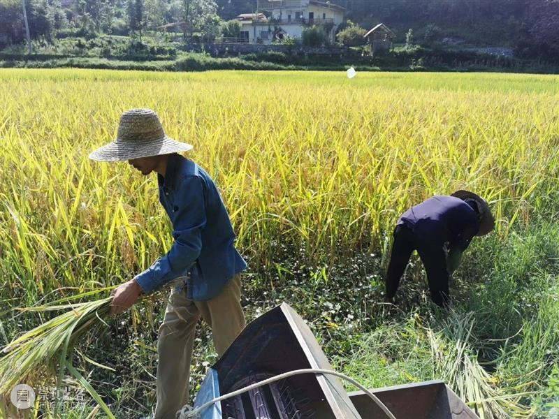 瓦依那乐队主唱岜農专访｜BCAF对话 崇真艺客