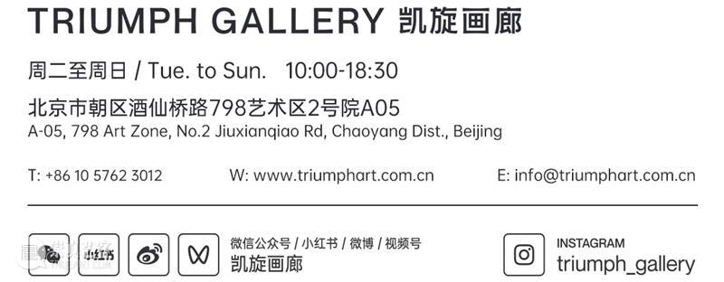 TRIUMPH｜凯旋画廊宣布代理艺术家卢昊 崇真艺客