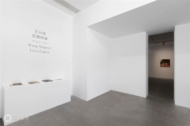 【展览现场】“王兴伟：恋爱砖家”  | 麦勒画廊北京 崇真艺客