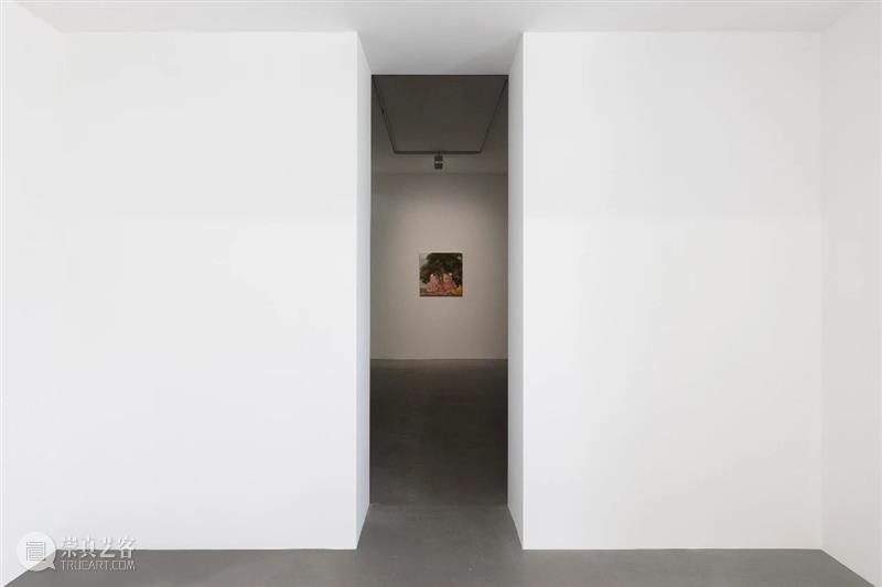 【展览现场】“王兴伟：恋爱砖家”  | 麦勒画廊北京 崇真艺客